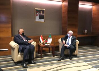 Importantes concertations égypto-algériennes