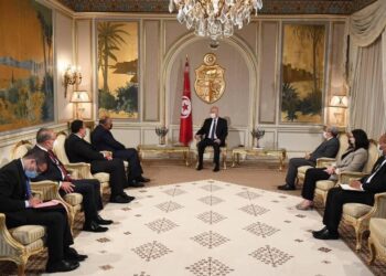 Choucri: La Tunisie est capable de  surmonter les circonstances actuelles