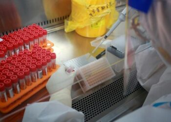 Séisme en Haïti : Difficultés pour acheminer l’aide aux sinistrés