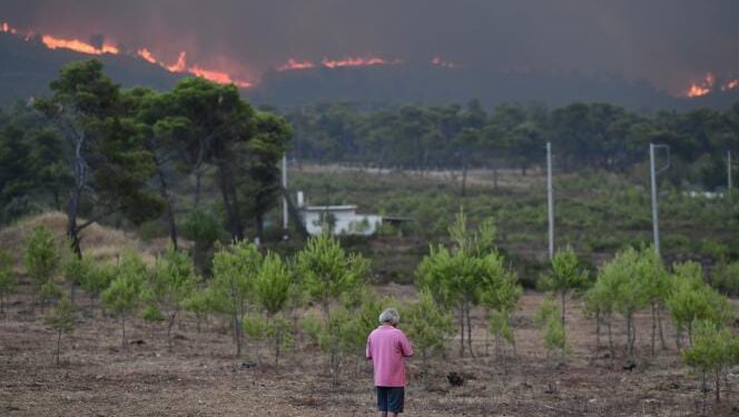 La Grèce se débat toujours au milieu des flammes 2 - Le Progrès Egyptien La Grèce se débat toujours au milieu des flammes 1 - Le Progrès Egyptien