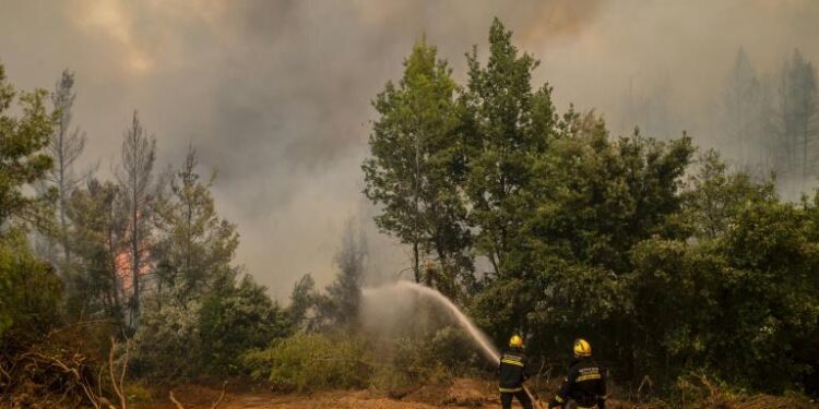 Grèce : Les incendies enfin maîtrisés 2 - Le Progrès Egyptien Grèce : Les incendies enfin maîtrisés 1 - Le Progrès Egyptien