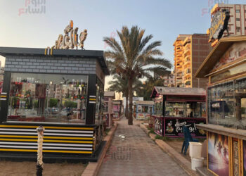 «  Rue 306  », le projet des jeunes par excellence