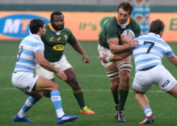 Rugby : L’Afrique du Sud signe son retour en Championship