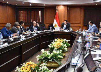 Plus de soutien au sport égyptien