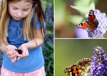 Charlotte de Cambridge dévoile son amour pour les papillons