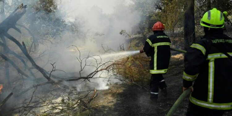 Violent feu sur la Côte d’Azur, des milliers de personnes évacuées 2 - Le Progrès Egyptien Violent feu sur la Côte d’Azur, des milliers de personnes évacuées 1 - Le Progrès Egyptien