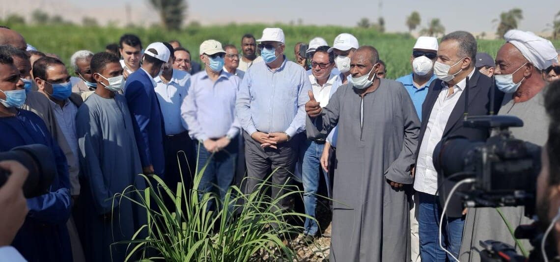 Louxor : Plein soutien aux petits cultivateurs 1 - Le Progrès Egyptien