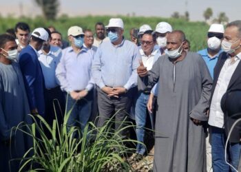 Louxor : Plein soutien aux petits cultivateurs