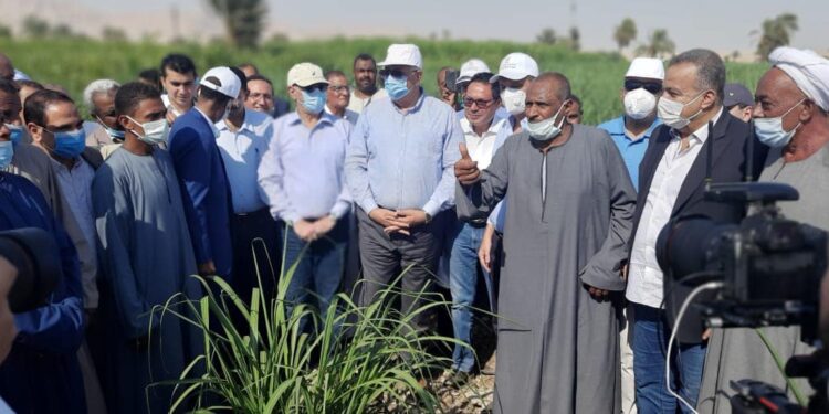 Louxor : Plein soutien aux petits cultivateurs 2 - Le Progrès Egyptien Louxor : Plein soutien aux petits cultivateurs 1 - Le Progrès Egyptien