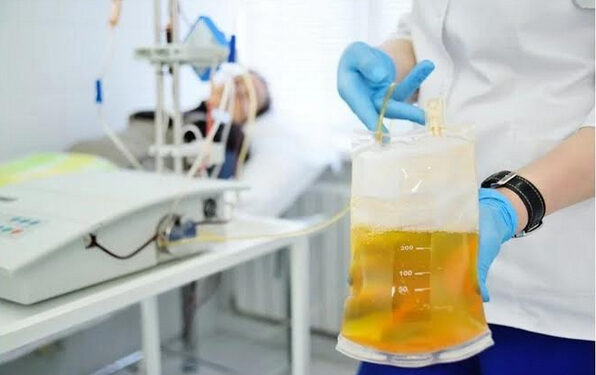 Pourquoi donner du plasma ? 1 - Le Progrès Egyptien