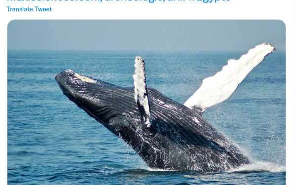 Egypte Antique : Secrets, Enigmes et Mystères 1 - Le Progrès Egyptien