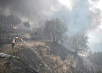 Grèce : Les pompiers bataillent encore contre les incendies