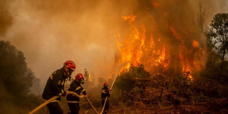 Grèce : Evacuations dans l’île d’Eubée à nouveau frappée par le feu 2 - Le Progrès Egyptien Grèce : Evacuations dans l’île d’Eubée à nouveau frappée par le feu 1 - Le Progrès Egyptien