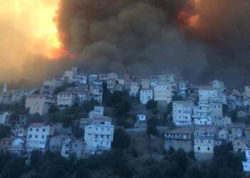 Incendies :  L’OCI affirme sa solidarité avec l’Algérie