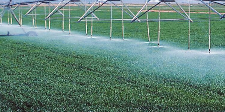 Modernisation de l’irrigation : Facilités de financement inédites 1 - Le Progrès Egyptien