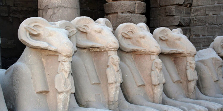 Le bélier dans le bestiaire de l’Egypte ancienne 1 - Le Progrès Egyptien