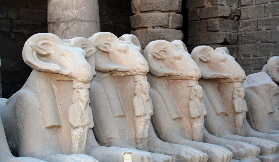 Le bélier dans le bestiaire de l’Egypte ancienne 1 - Le Progrès Egyptien