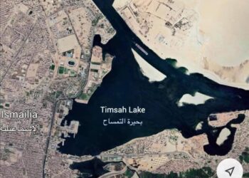 Les “poissons” du Lac Timsah retrouvent leurs beaux temps