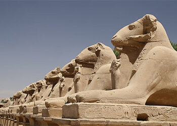 Intenses préparatifs pour l’inauguration de l’allée des béliers