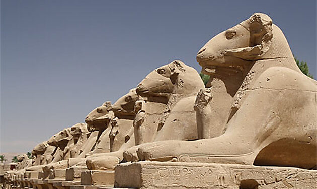 Intenses préparatifs pour l’inauguration de l’allée des béliers 2 - Le Progrès Egyptien Intenses préparatifs pour l’inauguration de l’allée des béliers 1 - Le Progrès Egyptien