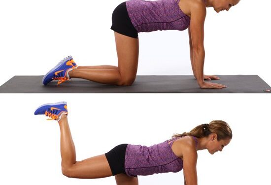 Levés de jambes donkey kicks 2 - Le Progrès Egyptien Levés de jambes donkey kicks 1 - Le Progrès Egyptien