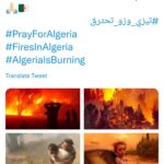 Le monde brûle 7 - Le Progrès Egyptien