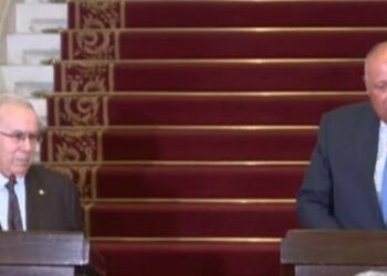 Egypte-Algérie : Relations stratégiques  et coordination intensifiée