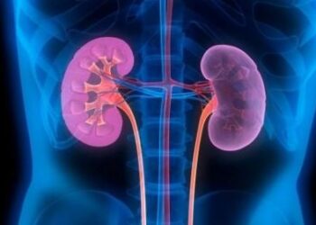 Le difficile combat des personnes greffées face à la Covid 19