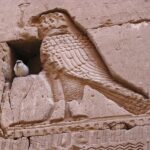 De retour aux temples, les oiseaux retrouvent leurs maisons d’origine ! 4 - Le Progrès Egyptien De retour aux temples, les oiseaux retrouvent leurs maisons d’origine ! 3 - Le Progrès Egyptien