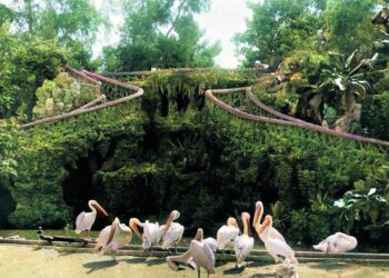 Le passé en couleurs