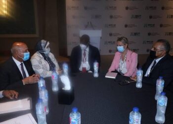 Le Caire et la BAD renforcent leur coopération industrielle