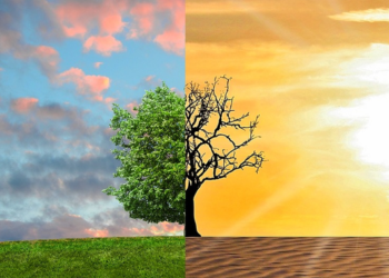 Changement climatique : Défi écologique et économique