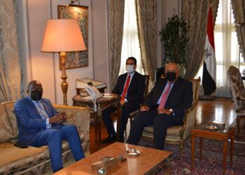 L’Egypte et le Congo discutent du renforcement de leurs relations