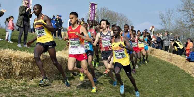 Athlétisme : Les Mondiaux de cross à Bathurst en Australie reportés 2 - Le Progrès Egyptien Athlétisme : Les Mondiaux de cross à Bathurst en Australie reportés 1 - Le Progrès Egyptien