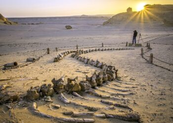 Autoroute verte à Wadi  Al  Hitane