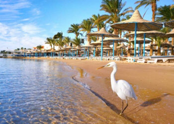1ère édition de la Conférence sur la sauvegarde de la nature