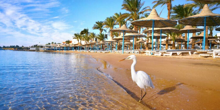 1ère édition de la Conférence sur la sauvegarde de la nature 1 - Le Progrès Egyptien