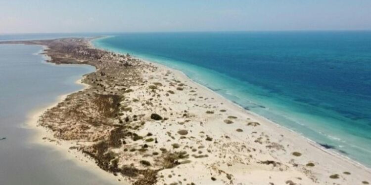 Pêche et pollution : L’île libyenne de Farwa attend d’être sauvée 2 - Le Progrès Egyptien Pêche et pollution : L’île libyenne de Farwa attend d’être sauvée 1 - Le Progrès Egyptien