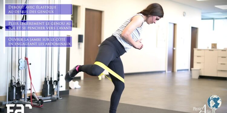 Extensions de hanches alternées avec élastique 2 - Le Progrès Egyptien Extensions de hanches alternées avec élastique 1 - Le Progrès Egyptien