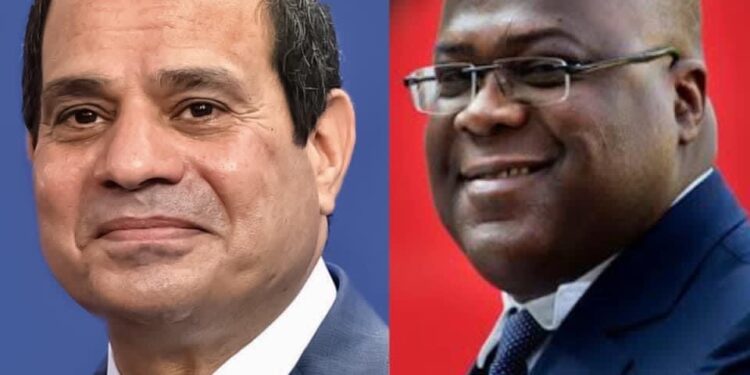 Al-Sissi et le président de la RDC examinent la coopération bilatérale 1 - Le Progrès Egyptien