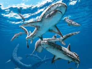 «Liste rouge»: Le dragon de Komodo et des requins menacés 3 - Le Progrès Egyptien