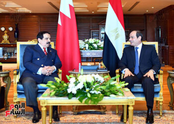 Les discussions égypto-bahreinies ont porté sur les développements du problème du barrage de la Renaissance