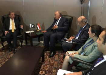 Choucri examine avec son homologue pakistanais la promotion des relations bilatérales