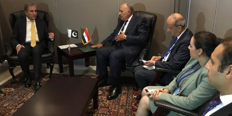 Choucri examine avec son homologue pakistanais la promotion des relations bilatérales 1 - Le Progrès Egyptien