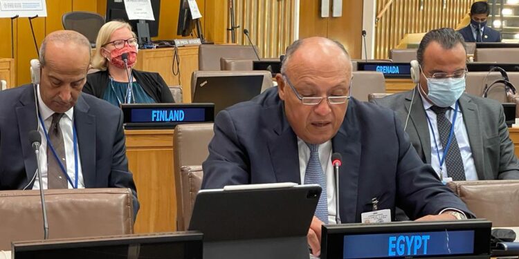 Choucri prononce l'allocution de l'Egypte devant la table ronde pour commémorer le 20e anniversaire de l'adoption de la Déclaration de Durban 1 - Le Progrès Egyptien