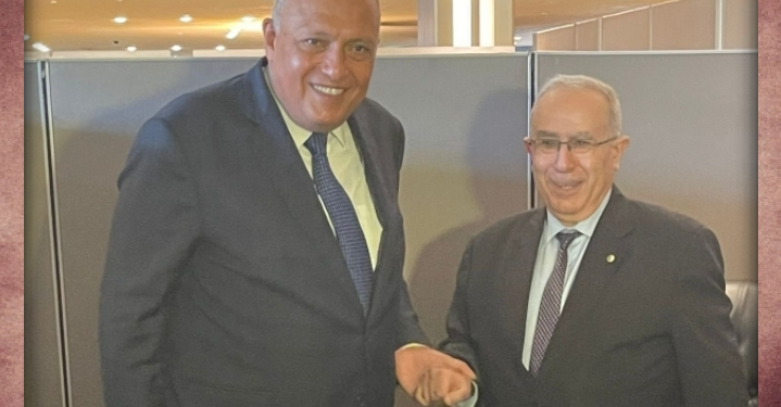 Entretien Choucri-Lamamra 1 - Le Progrès Egyptien