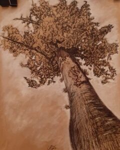 La porte royale de l’art s’ouvre à qui ose ! 7 - Le Progrès Egyptien