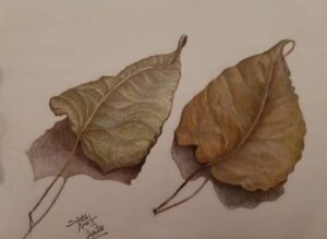 La porte royale de l’art s’ouvre à qui ose ! 11 - Le Progrès Egyptien