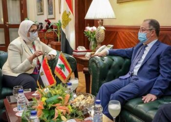 L’Egypte soutient le secteur sanitaire au Liban