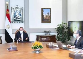 Electricité : Le Président examine les projets stratégiques